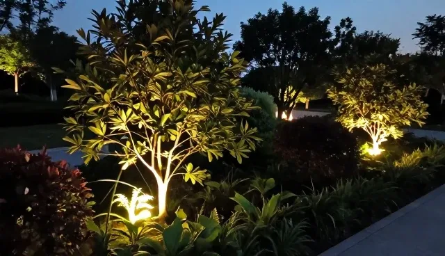 苗木供应如何适应不同地形与气候条件